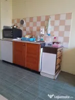 Garsoniera de inchiriat Buziasului