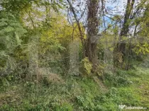 Teren intravilan in Comuna Razvad 1950mp cu acces la princip