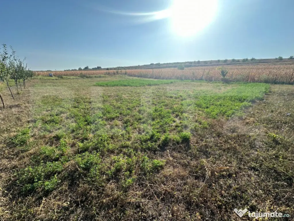 Teren extravilan, Oarda de Jos, 2072 mp, parcele intre 500-5