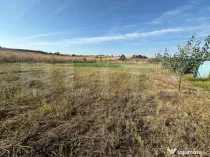 Teren extravilan, Oarda de Jos, 2072 mp, parcele intre 500-5