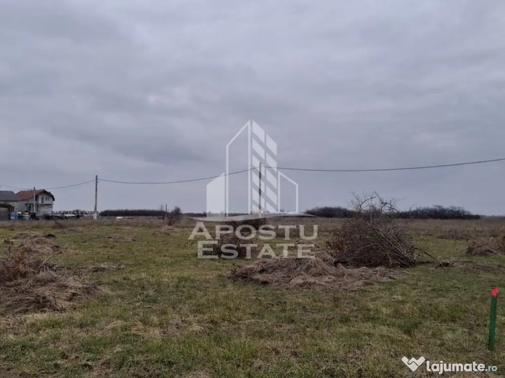 Teren intravilan 500mp Mandruloc - Mandruloc (Arad)