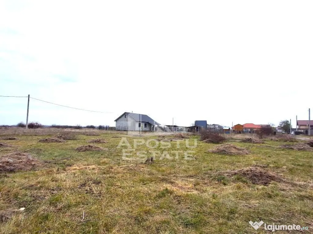 Teren intravilan 500mp Mandruloc - Mandruloc (Arad)