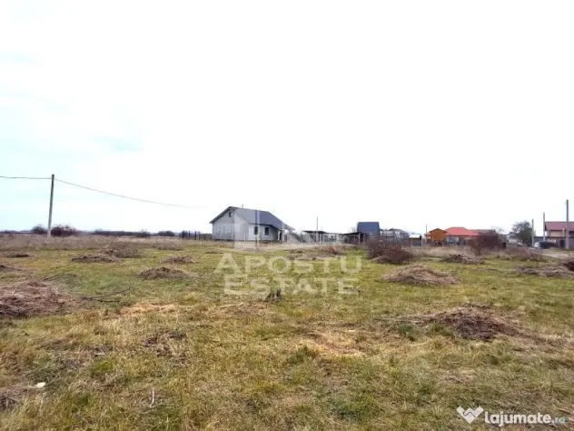 Teren intravilan 500mp Mandruloc - Mandruloc (Arad)