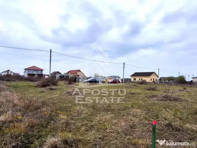 Teren intravilan 500mp Mandruloc - Mandruloc (Arad)