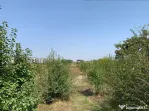 Teren Agigea zona Roro Pescarie