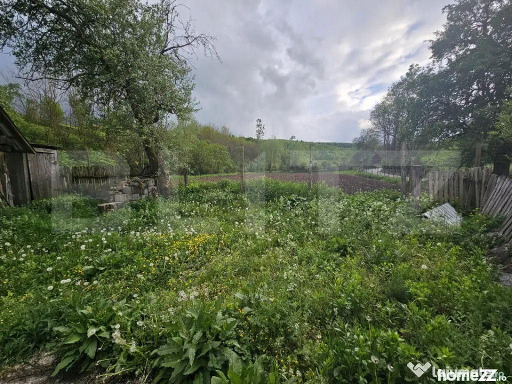 Casă 3 camere, teren 4.313mp, Patrangeni - Alba