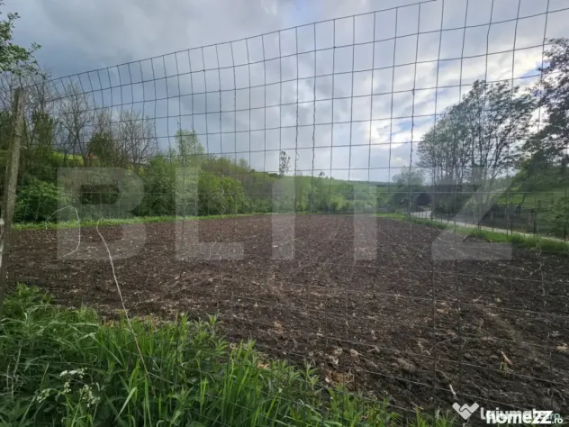 Casă 3 camere, teren 4.313mp, Patrangeni - Alba