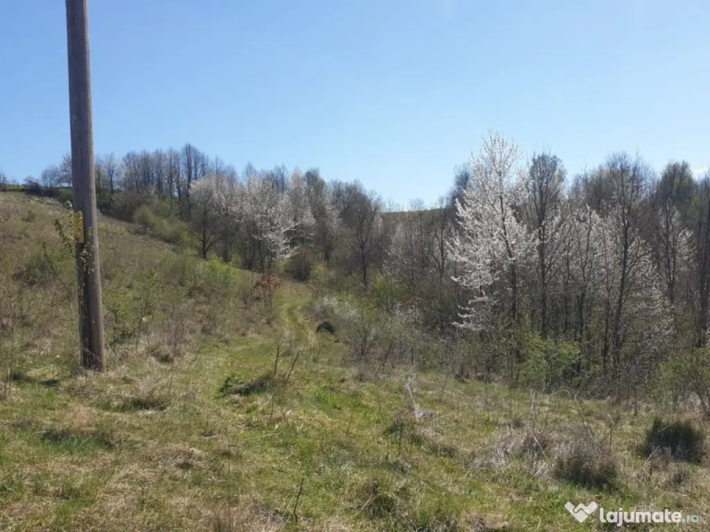 Teren cu panoramă fabuloasă, 10.059 mp, Roșia. 19.000 ...