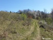 Teren cu panoramă fabuloasă, 10.059 mp, Roșia. 19.000 ... 