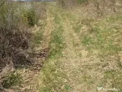 Teren cu panoramă fabuloasă, 10.059 mp, Roșia. 19.000 ... 