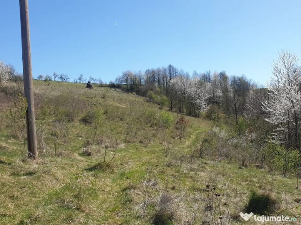 Teren cu panoramă fabuloasă, 10.059 mp, Roșia. 19.000 ...