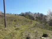 Teren cu panoramă fabuloasă, 10.059 mp, Roșia. 19.000 ... 