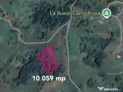 Teren cu panoramă fabuloasă, 10.059 mp, Roșia. 19.000 ... 