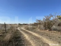 Teren intravilan cu acces la toate utilitățile, 530 mp, zo