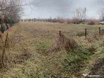 Culcea, 35 ari teren