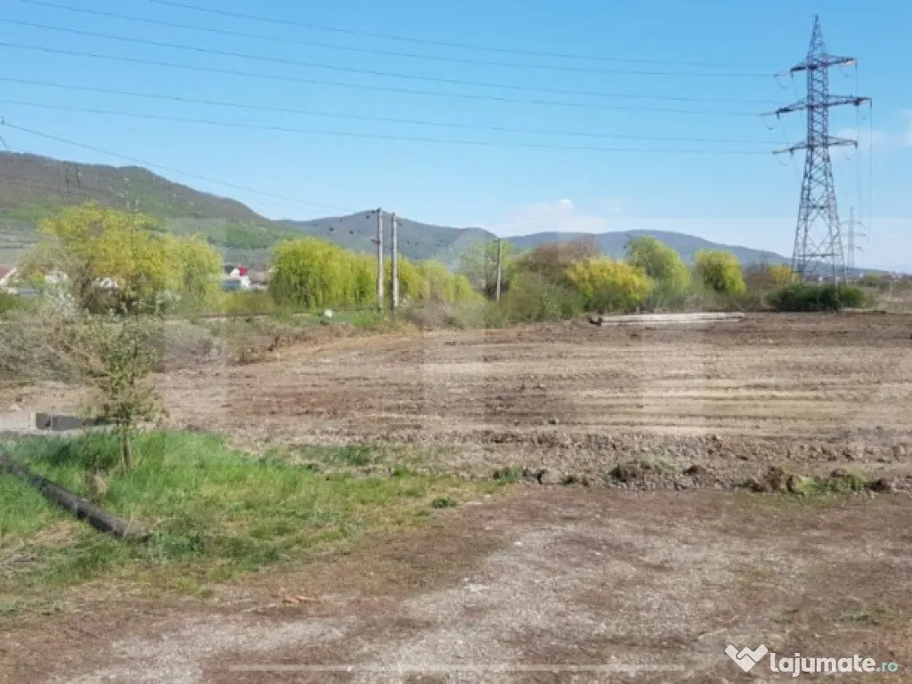 Teren Intravilan hala, 65 ari, zona Sieu Magherus