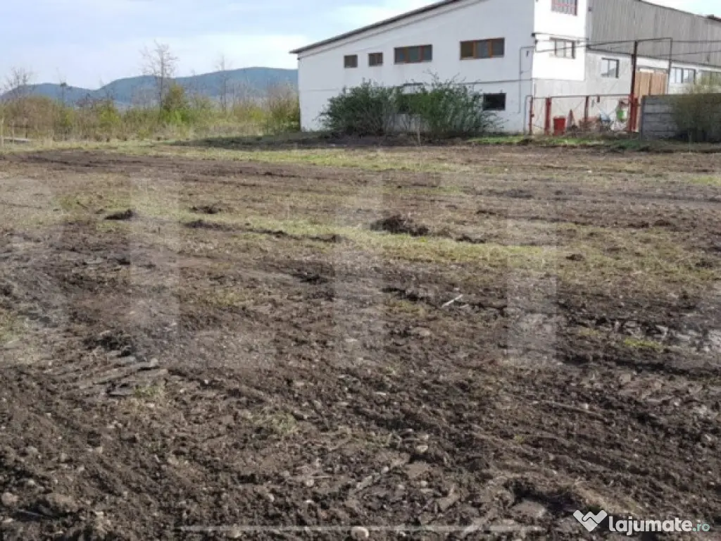 Teren Intravilan hala, 65 ari, zona Sieu Magherus