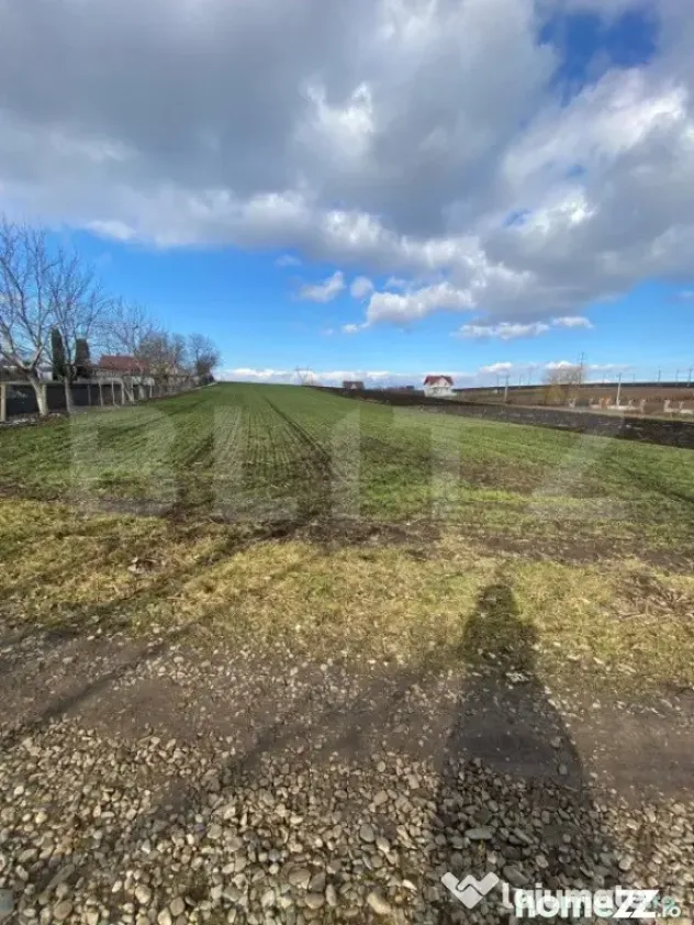 Teren Intravilan de vanzare, 3900 mp, zona Suceava-Cumparatu - Suceava (Suceava)