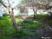 Teren pentru casa-Bucurestii Noi-pozitie foarte buna 