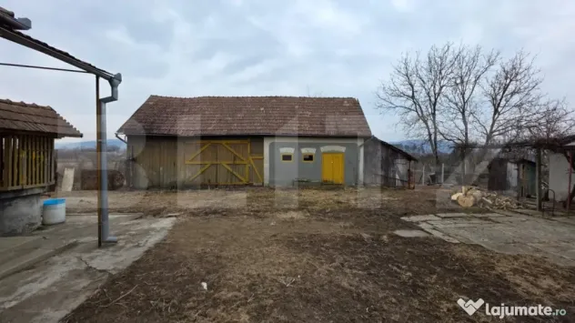 Două case de vânzare, curte comună, 4 camer 110mp, 50 ari