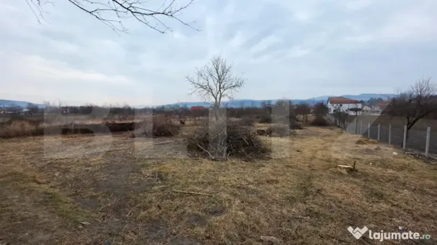 Două case de vânzare, curte comună, 4 camer 110mp, 50 ari