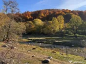 Teren Salatrucu - 7500 mp 