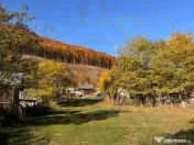 Teren Salatrucu - 7500 mp 