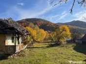 Teren Salatrucu - 7500 mp 