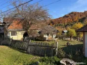 Teren Salatrucu - 7500 mp 