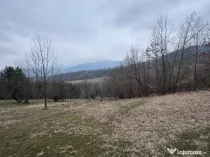 6000 MP teren intravilan, sat Bistrita, 9 Eur/MP