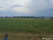De vânzare terenuri extravilane în Sfântu Gheorghe 