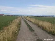 De vânzare terenuri extravilane în Sfântu Gheorghe 