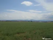 De vânzare terenuri extravilane în Sfântu Gheorghe 