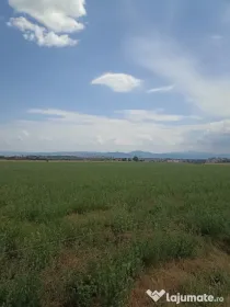 De vânzare terenuri extravilane în Sfântu Gheorghe