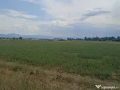 De vânzare terenuri extravilane în Sfântu Gheorghe 