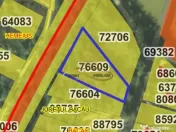 Teren de vanzare in Bacau 