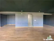 Spatiu comercial zona Delfinariu 