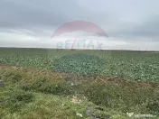 Teren intravilan 80500mp. aproape de nodul rutier de pe D... 