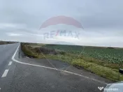 Teren intravilan 80500mp. aproape de nodul rutier de pe D... 