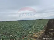 Teren intravilan 80500mp. aproape de nodul rutier de pe D... 