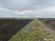 Teren intravilan 80500mp. aproape de nodul rutier de pe D... 