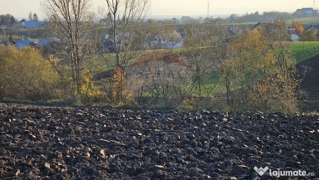 Teren extravilan 6,100mp Stroiesti / Soseaua DN17, Suceava