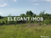 Teren cu pret foarte bun 