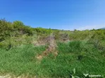 Teren intravilan de vanzare, 6200 mp, zona Viisoara, langa M