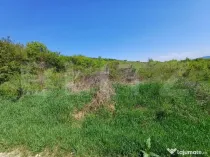 Teren intravilan de vanzare, 6200 mp, zona Viisoara, langa M