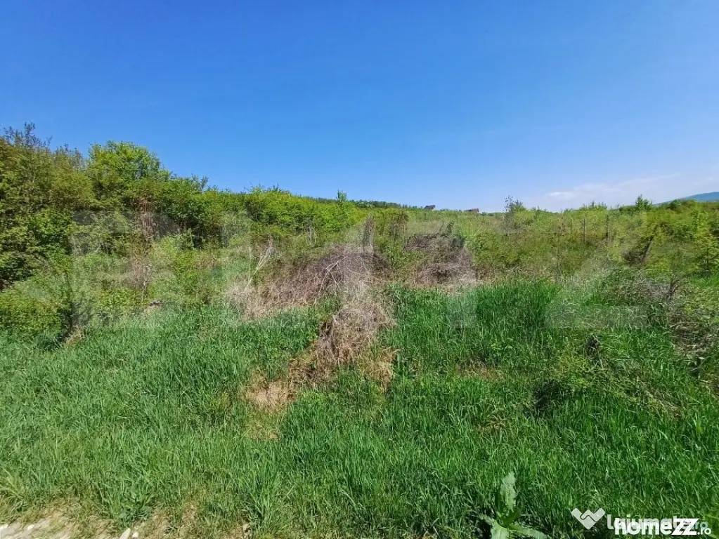 Teren intravilan de vanzare, 6200 mp, zona Viisoara, langa M - Bistrita (Bistrita-Nasaud)