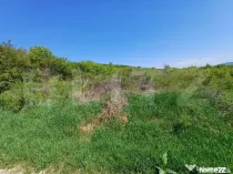 Teren intravilan de vanzare, 6200 mp, zona Viisoara, langa M