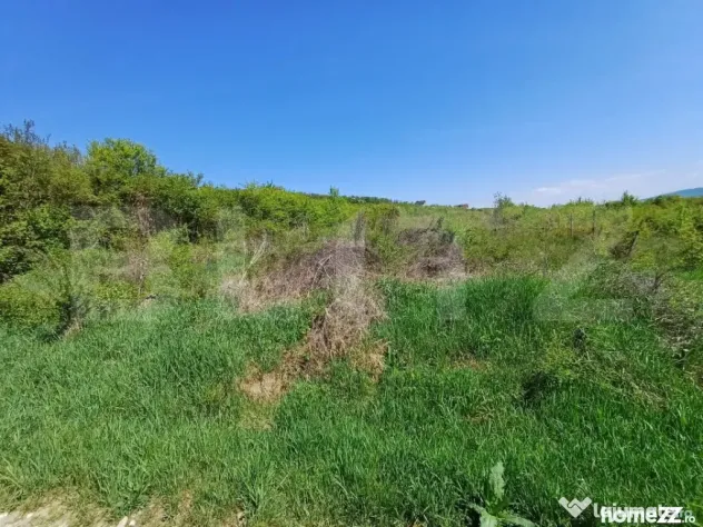 Teren intravilan de vanzare, 6200 mp, zona Viisoara, langa M - Bistrita (Bistrita-Nasaud)