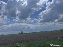 Teren extravilan, 7800mp, Burla