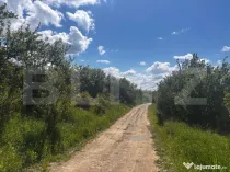 Teren extravilan de vanzare, 2500 mp, zona Valea Sigmirului